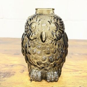 Vintage Smoky Amber Glass Owl Coin Bank Mid Century Decor 1970s Wise Old Owl